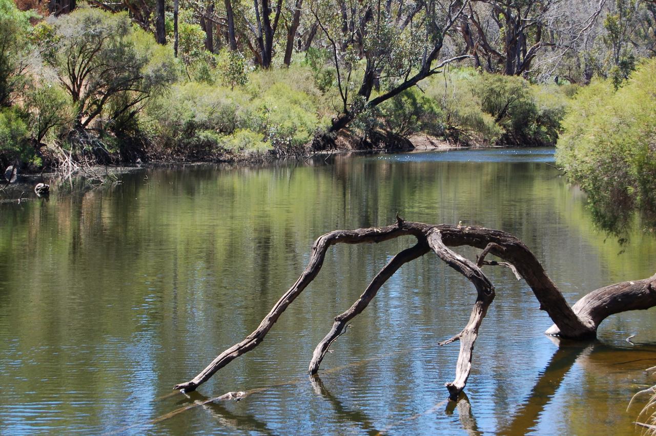 Beyonderup Falls Adult Retreat Nannup Ruang foto